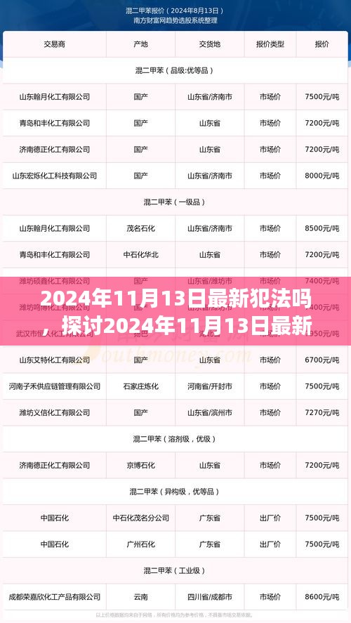 探讨，特定日期行为是否违法——以2024年11月13日为例的法律视角与个人立场分析