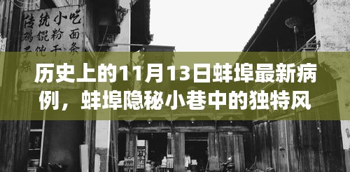 蚌埠隐秘小巷的独特风味与最新病例背后的故事，历史视角下的11月13日纪实