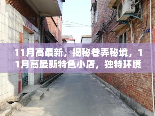 揭秘巷弄秘境，探索最新特色小店，独特环境等你来发现——11月高最新指南