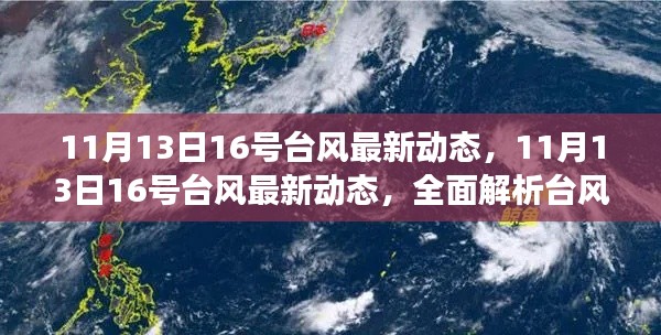 11月13日台风最新动态，全面解析台风进展与影响