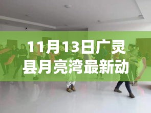 广灵县月亮湾发展动态，最新进展与多元视角探讨（11月13日）