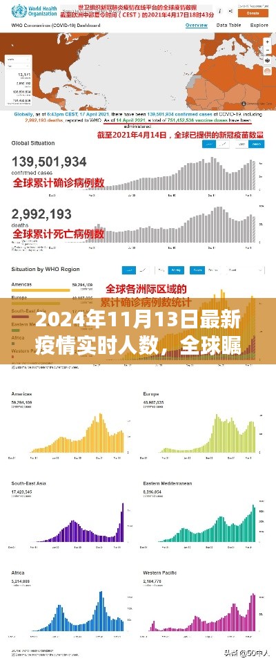 全球瞩目！2024年11月13日疫情实时人数报告与回顾