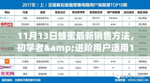 蜂蜜销售实战指南，最新销售方法，适合初学者与进阶用户实战步骤解析（11月最新）