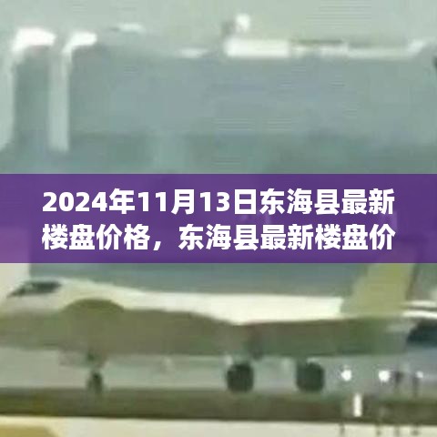 2024年11月东海县最新楼盘价格深度解析与动态报告