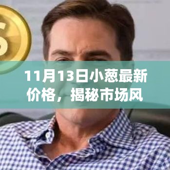 揭秘市场风云，11月13日小葱最新价格走势观察