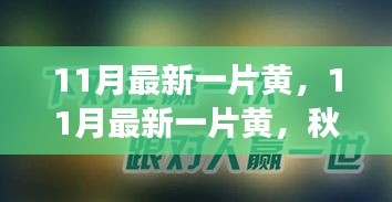 秋天的黄金时刻，11月最新黄叶与SEO洞察