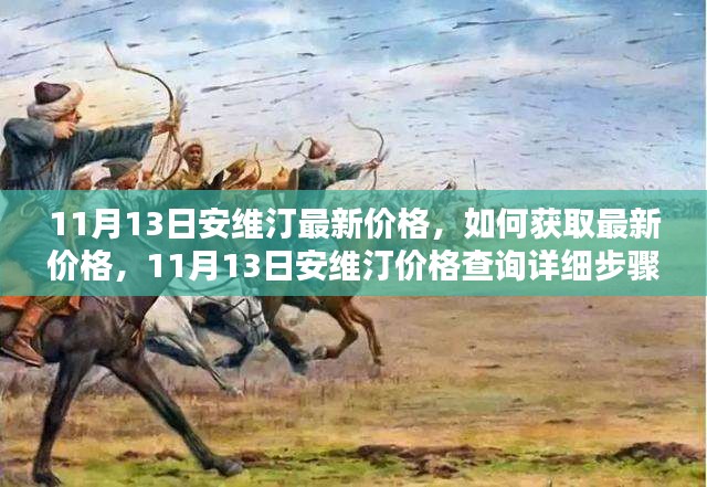 11月13日安维汀最新价格查询指南，获取价格与详细步骤