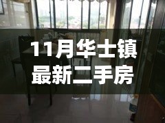 11月华士镇最新二手房源解析与购房指南