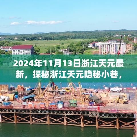 探秘浙江天元隐秘小巷，一家特色小店的独特故事（最新2024年11月13日）