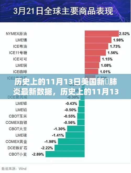 美国历史上11月13日新冠肺炎最新数据深度解析与评测报告