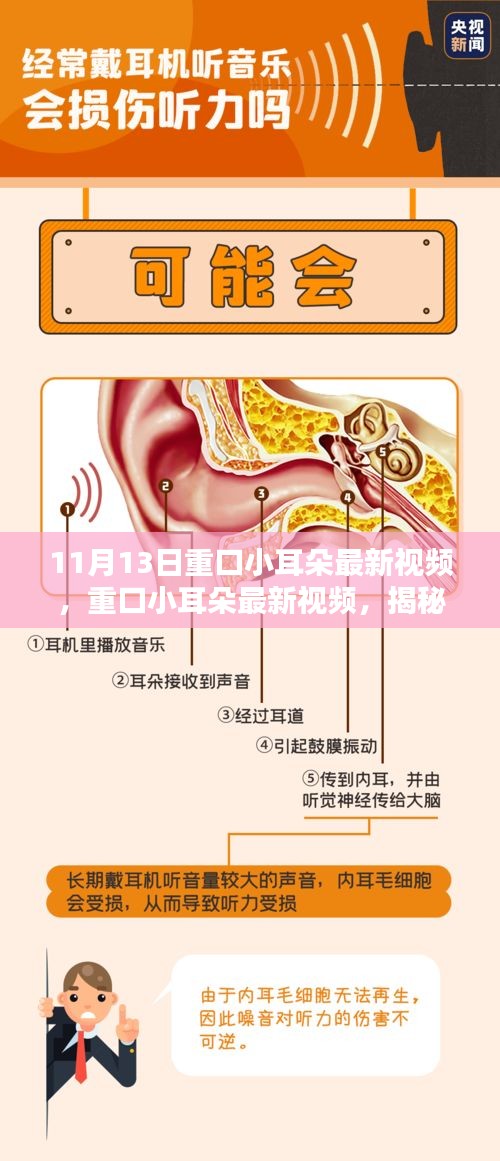 揭秘重口小耳朵在特定领域的影响力与地位，最新视频曝光