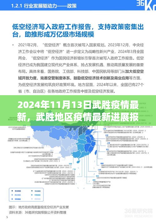 2024年11月武胜地区疫情最新进展报告，深度解析与竞品对比