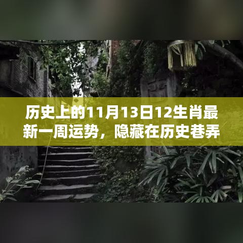 历史巷弄中的秘密，揭秘11月13日十二生肖一周运势与特色小店的奇妙缘分