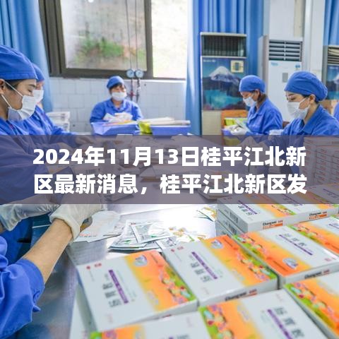 桂平江北新区发展展望，最新消息与观点分析（2024年11月13日）