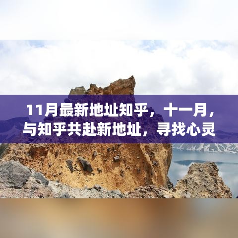 知乎十一月新地址探索，寻找心灵静谧的角落