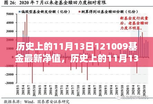 历史上的11月13日基金最新净值解读，市场趋势分析与动态展望（附基金净值报告）