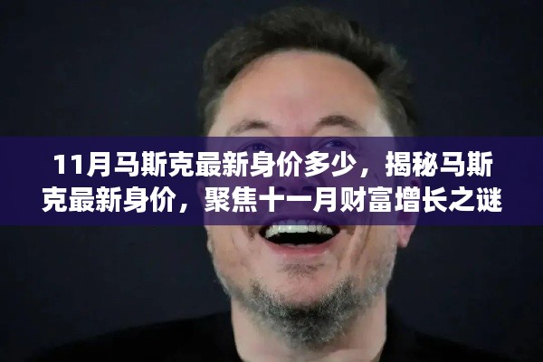 揭秘马斯克最新身价，聚焦十一月财富增长之谜，马斯克最新身价揭晓！