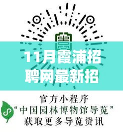 霞浦招聘网最新动态，小巷深处的独特小店与十一月招聘信息及美食探索