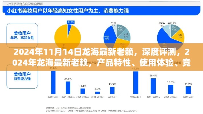 2024年龙海最新老赖深度评测，产品特性、使用体验、竞品对比及用户群体分析