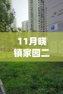 揭秘，11月晓镇家园二手房市场最新动态与房源更新