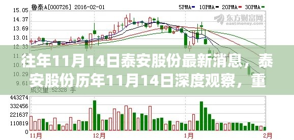 泰安股份历年11月14日深度观察，重大事件回顾与领域地位重塑的历程梳理