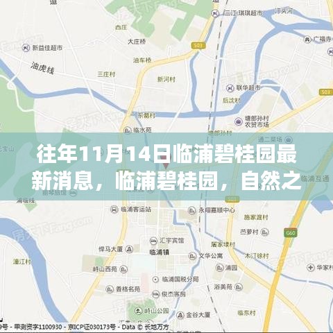 临浦碧桂园最新动态，自然之旅启示与美景探寻新篇章