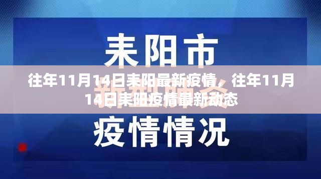 往年11月14日耒阳疫情最新动态与往年疫情回顾分析