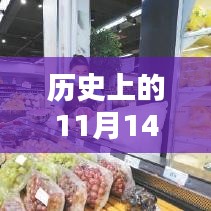 历史上的11月14日南京疫情深度解析与最新防控指南