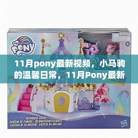 小马驹温馨日常与11月Pony最新视频背后的故事