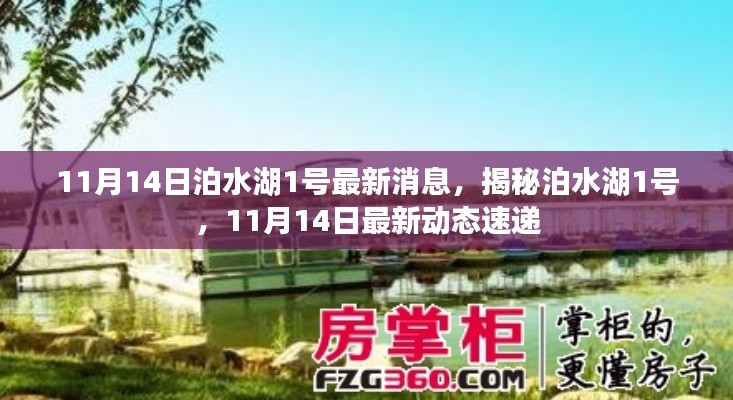 揭秘泊水湖1号，最新动态速递（11月14日更新）