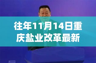 揭秘重庆盐业改革，最新动态与深度解读（历年数据更新）