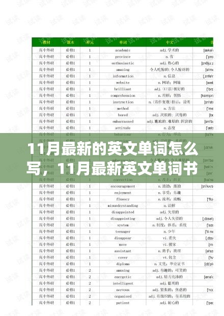 深入解析，最新英文单词书写探讨——以11月为例