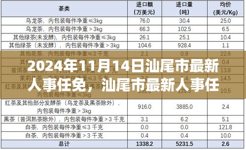 文质彬彬 第15页