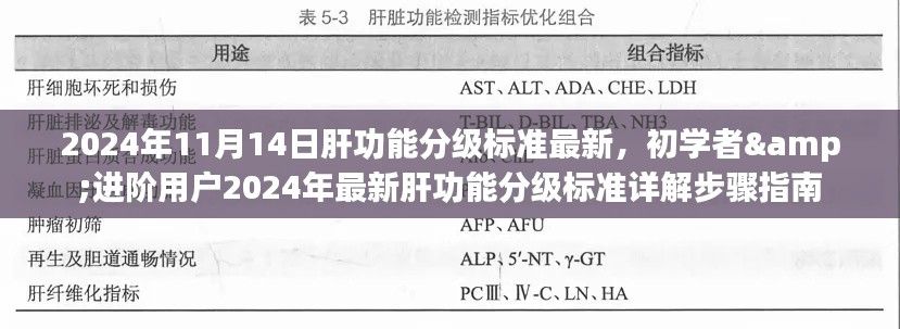 初学者与进阶用户必备，2024年最新肝功能分级标准详解与步骤指南