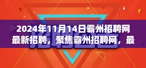 霸州招聘网最新动态，多元观点下的招聘趋势探讨（2024年11月14日）