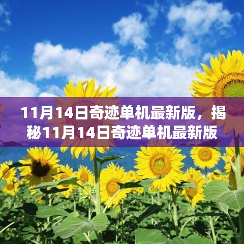 揭秘奇迹单机最新版，游戏界的盛大盛宴（11月14日更新）