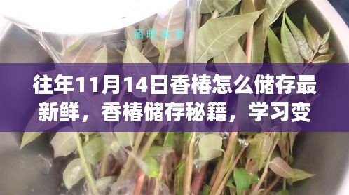 香椿储存秘籍，保持新鲜，自信享受——往年11月14日储存指南