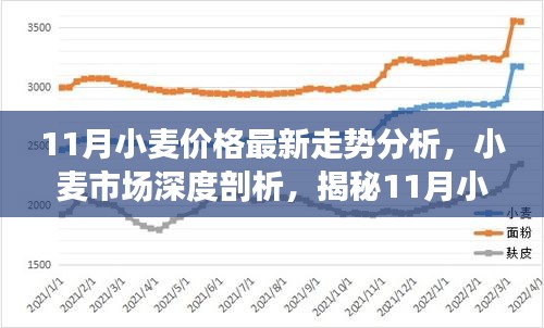 揭秘11月小麦价格走势，市场深度分析与最新动态报告