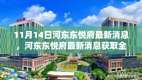 河东东悦府最新动态全攻略，掌握最新消息