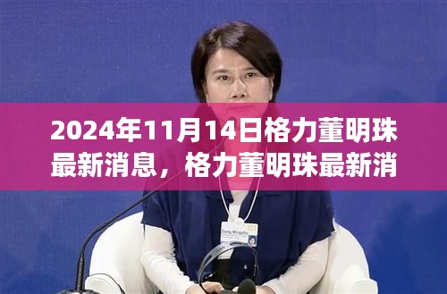 格力董明珠最新动态揭秘，2024年决策过程与格力发展展望