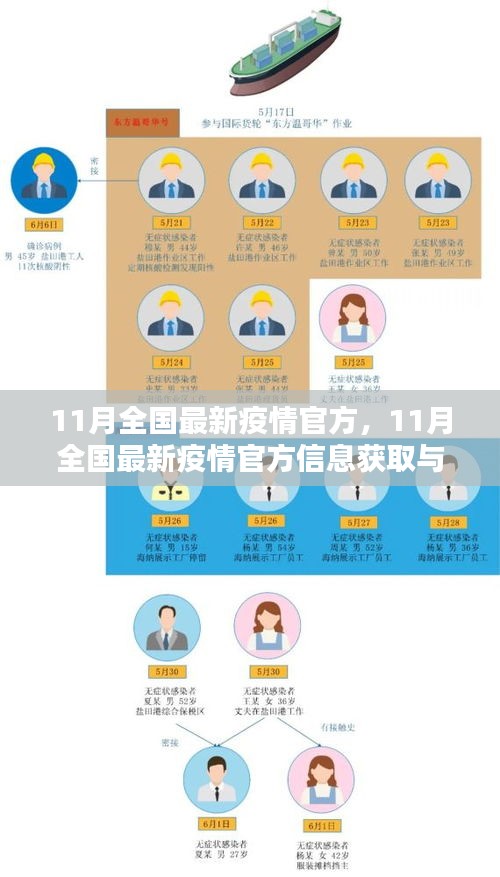 11月全国最新疫情官方信息与应对步骤指南，初学者与进阶用户必读