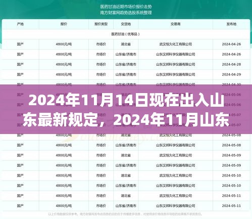 2024年11月山东出入最新规定详解，旅行指南与注意事项