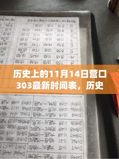 历史上的11月14日，探寻营口303最新时间表背后的故事与最新时间表揭秘