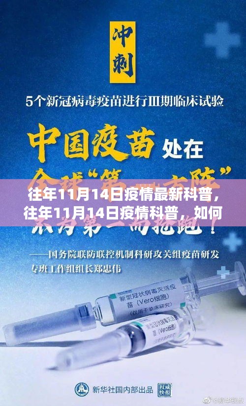 全方位指南，历年11月14日疫情科普，科学应对疫情——初学者与进阶用户的必备手册