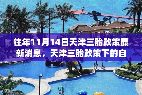 天津三胎政策下的秋日心灵之旅，探寻自然与宁静的秘径