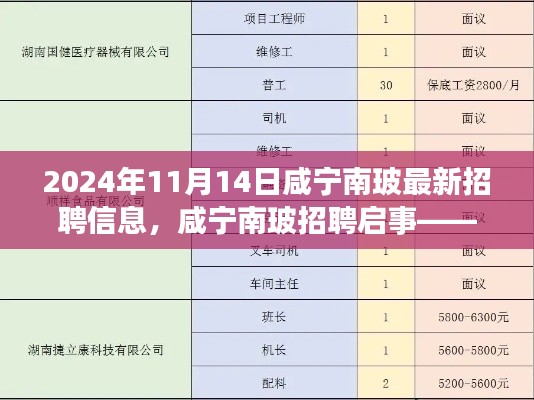 咸宁南玻最新招聘信息揭秘，职业发展机遇与职位探寻（2024年11月14日）