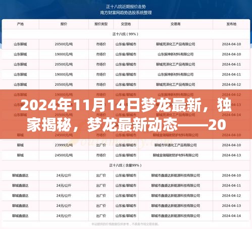 独家揭秘，梦龙最新动态——探索之旅（2024年11月14日）