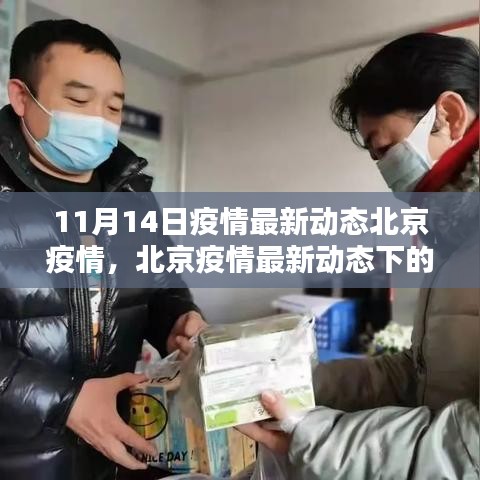 北京疫情最新动态下的科技新星，智能防控助手重塑抗疫生活体验