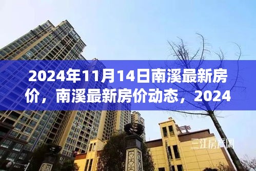 南溪最新房价动态，2024年11月14日的观察与解析