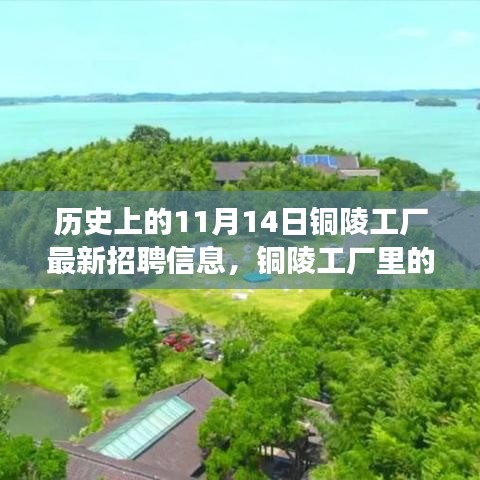 历史上的今天，铜陵工厂招聘信息揭秘与友情故事的交织